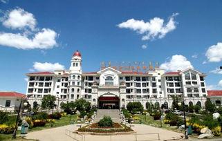 乌兰浩特明星网红,闪耀草原的璀璨之星