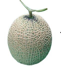 西周蜜瓜今日价格,价格行情一览