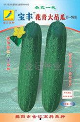 今日翠绿吊瓜价格行情最新,今日市场动态一览