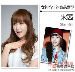 明星网红奇葩言论视频大全,视频大全盘点